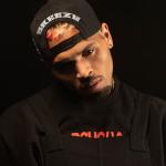 artist image Chris Brown feat. Benny Benassi Beautiful People F.A.M.E. (Expanded Edition)