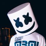 artist image Marshmello, Carnage Back In Time Shockwave