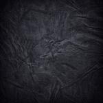 album image Они какают Чёрный - EP