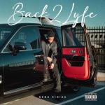 album image Questions Back2Lyfe
