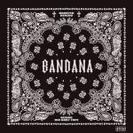 album image 99 problems «phonk house» BANDANA I